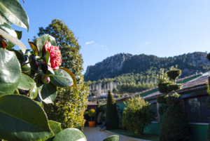 Imagen Lolo Restaurante vistas paisaje montañas